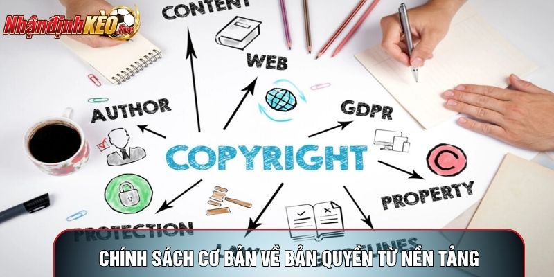 Chính sách cơ bản về bản quyền từ nền tảng