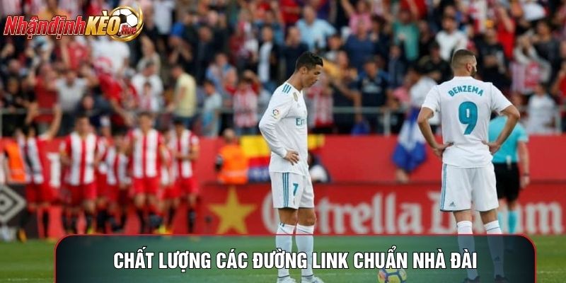 Chất lượng các đường link chuẩn nhà đài