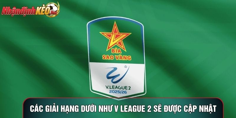 Các giải hạng dưới như V League 2 cũng sẽ được cập nhật