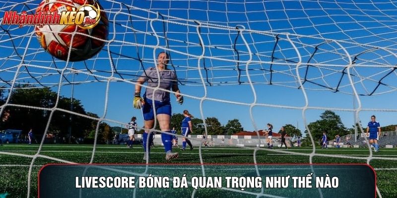 Livescore bóng đá quan trọng như thế nào