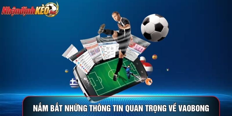 Nắm bắt những thông tin quan trọng về vaobong
