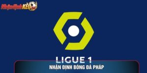 Nhận Định Bóng Đá Pháp: Cùng Giải Mã Nền Tảng Thể Lực