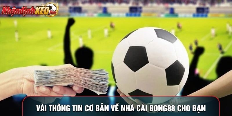 Vài thông tin cơ bản về nhà cái bong88 cho bạn